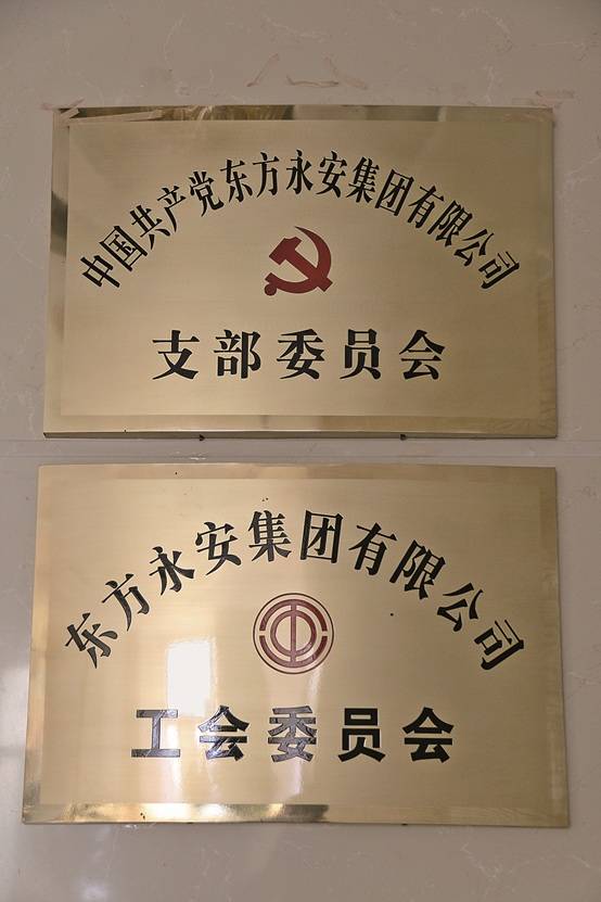 热烈祝贺东方永安集团有限公司工会委员会、党支部委员会成立