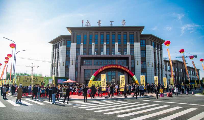 热烈祝贺️东方永安集团黑河项目—永安一品盛大开盘