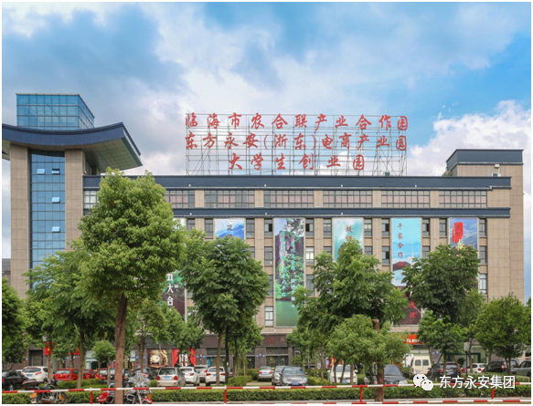 省级重点培育电商平台企业名单公布，临海市东方永安电子商务有限公司（大田公社）榜上有名